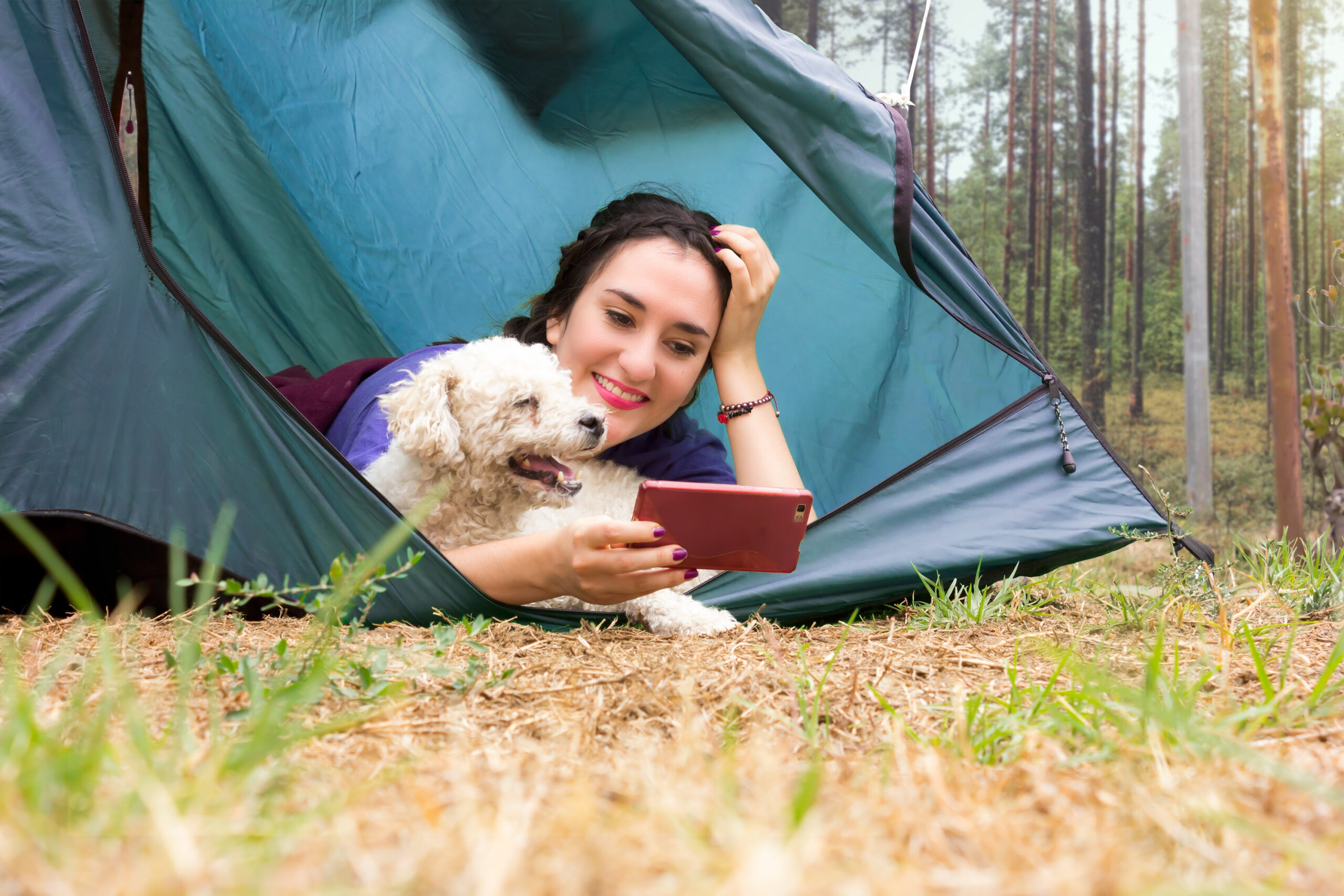 Pet-Friendly Campground - Splashway